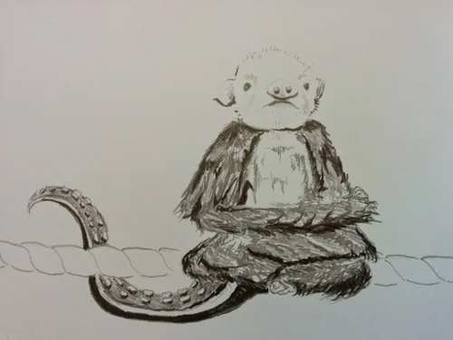 IRSC Art Class