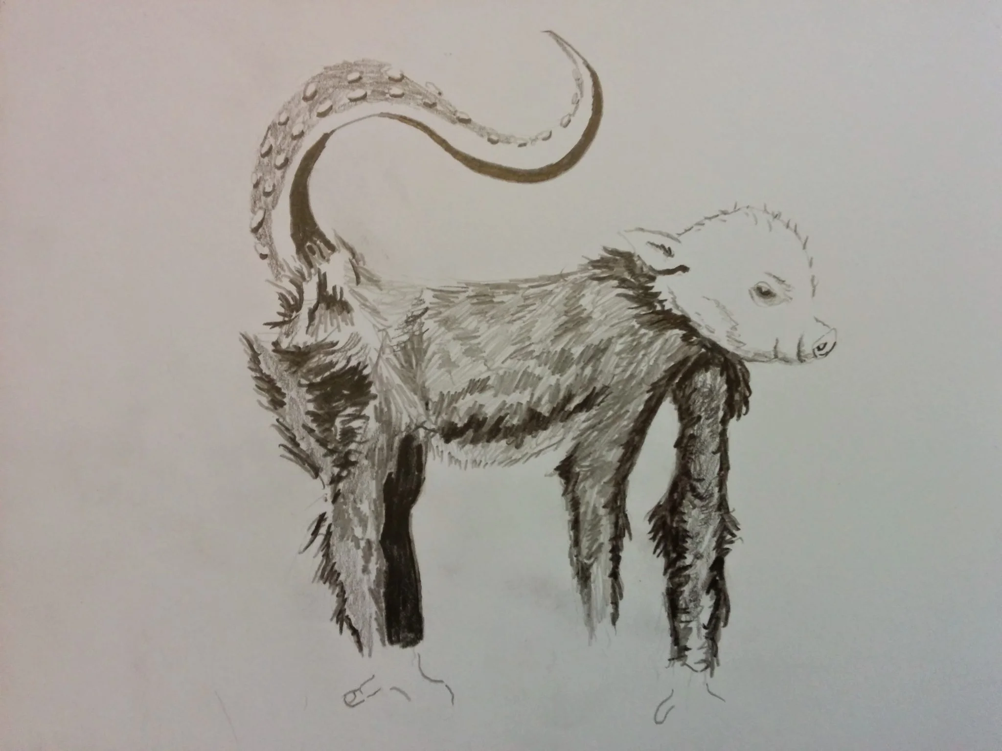 Chimera creature project (Squid, monkey, piglet)